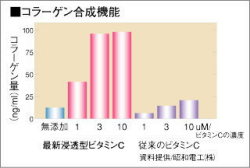 コラーゲン合成機能